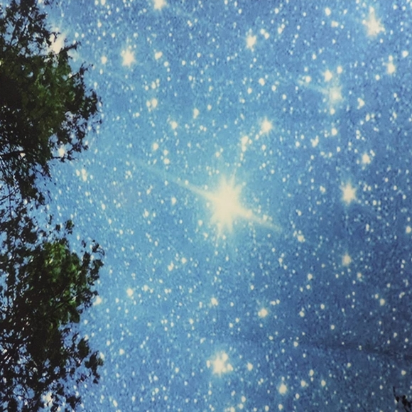 Large Tapestry - Picture 3 of 3